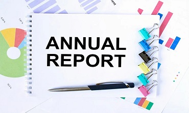 annual report VKF